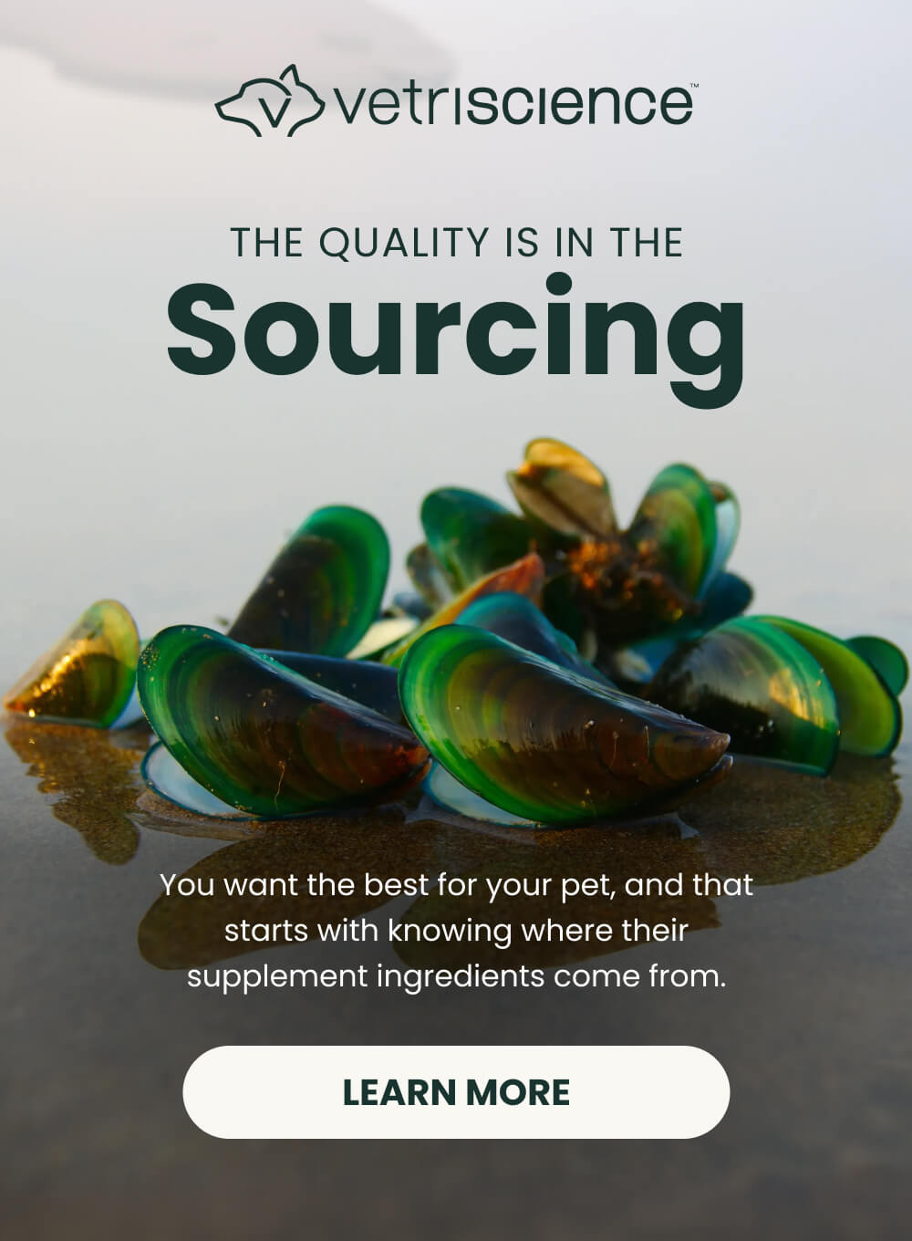 The Quality Is In The Sourcing [ LEARN MORE ]