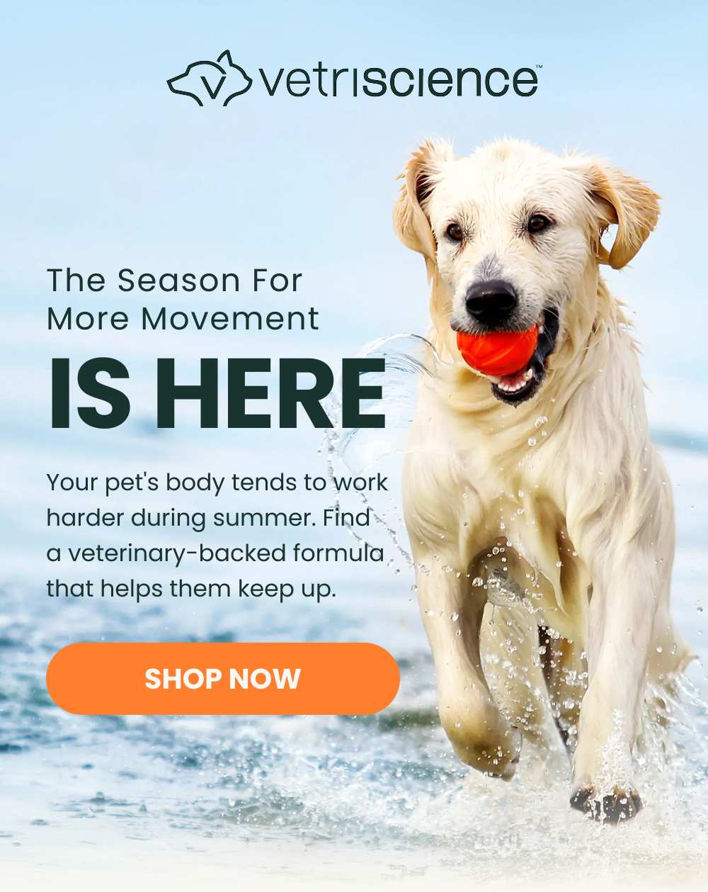 The Season for More Movement Is Here   Your pet’s joints tend to work harder during summer. Find a veterinary-backed formula that helps them keep up.