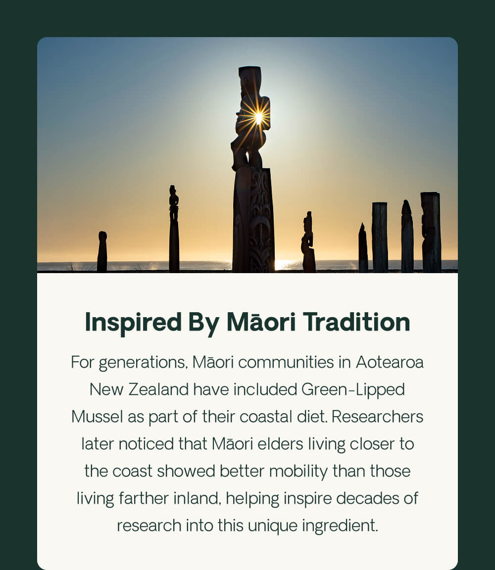 Inspired By Māori Tradition