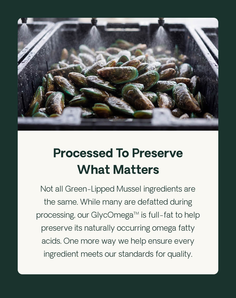 Processed To Preserve What Matters